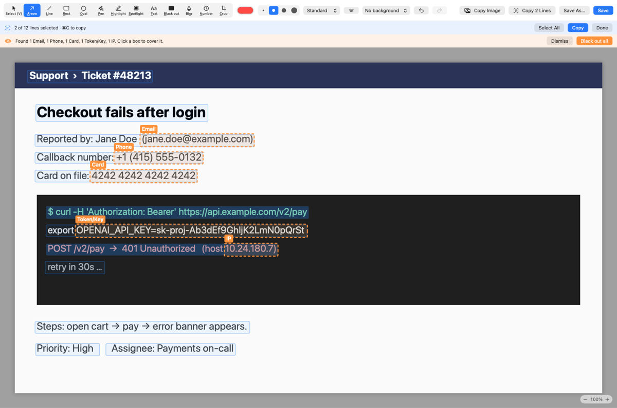 Editor in text mode: every recognised line outlined, two lines selected, a Copy 2 Lines button